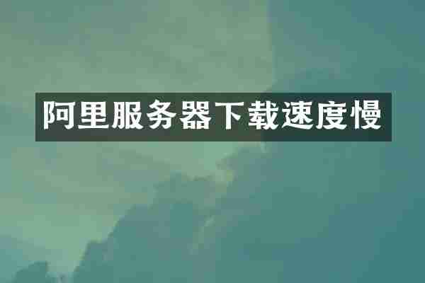 阿里服务器下载速度慢