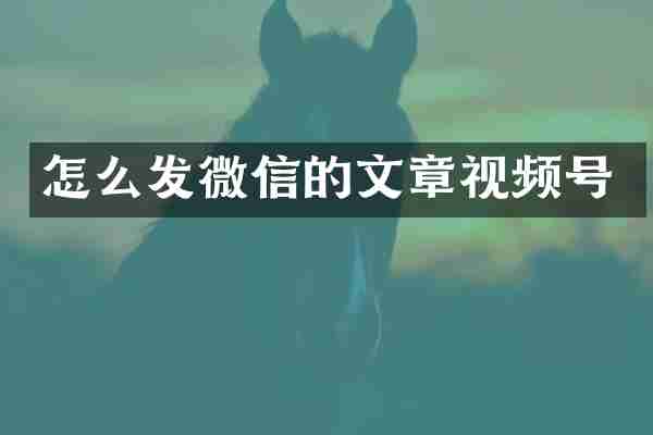 怎么发微信的文章视频号