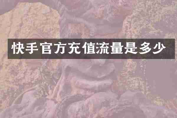 快手官方充值流量是多少