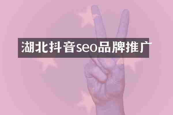 湖北抖音seo品牌推广