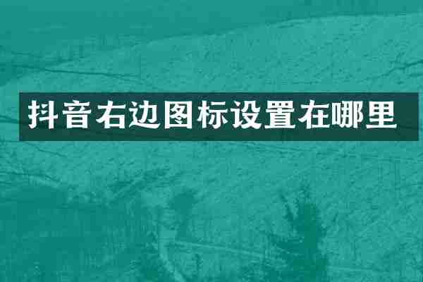 抖音右边图标设置在哪里