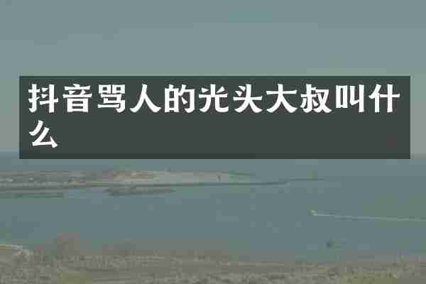 抖音骂人的光头大叔叫什么