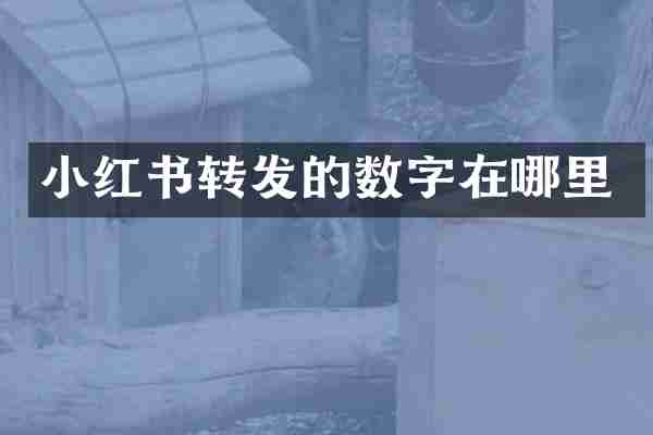 小红书转发的数字在哪里