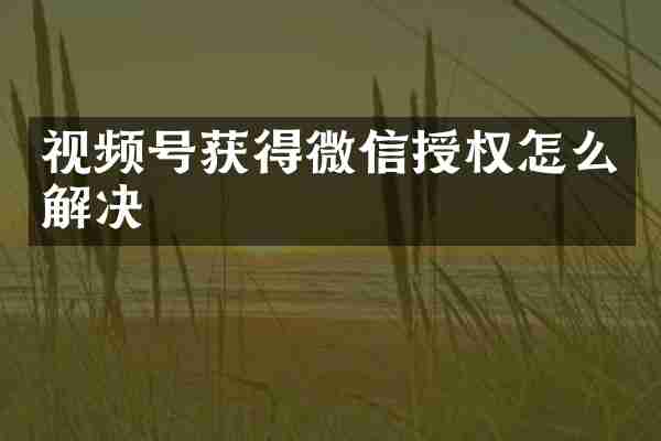 视频号获得微信授权怎么解决