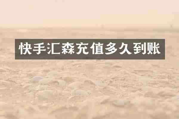 快手汇森充值多久到账