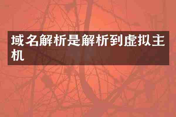 域名解析是解析到虚拟主机
