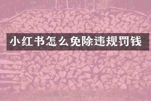 小红书怎么免除违规罚钱