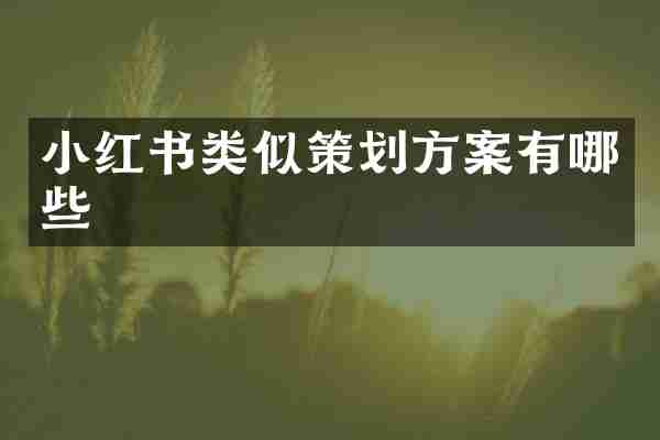 小红书类似策划方案有哪些
