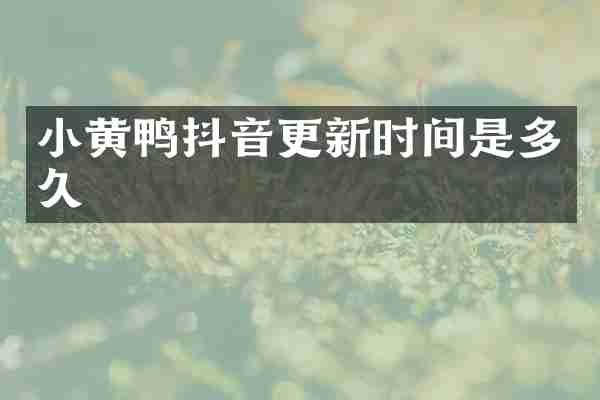 小黄鸭抖音更新时间是多久