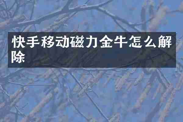 快手移动磁力金牛怎么解除