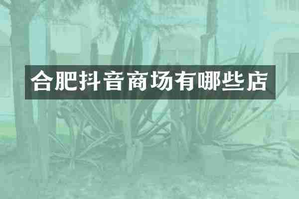 合肥抖音商场有哪些店