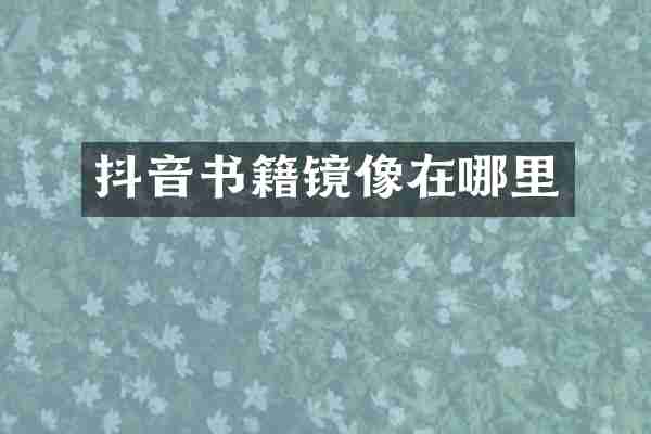 抖音书籍镜像在哪里
