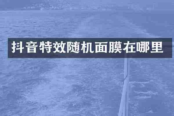 抖音特效随机面膜在哪里