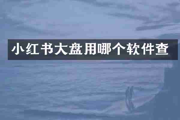 小红书大盘用哪个软件查