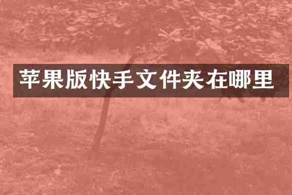 苹果版快手文件夹在哪里