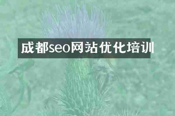 成都seo网站优化培训