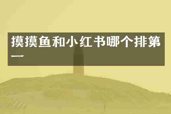 摸摸鱼和小红书哪个排第一