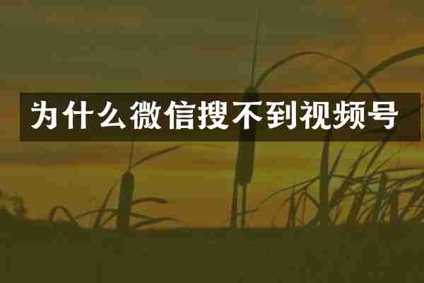 为什么微信搜不到视频号