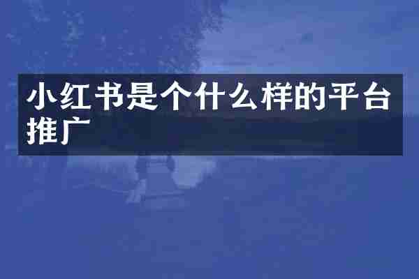 小红书是个什么样的平台推广