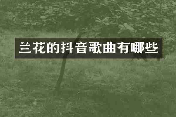 兰花的抖音歌曲有哪些