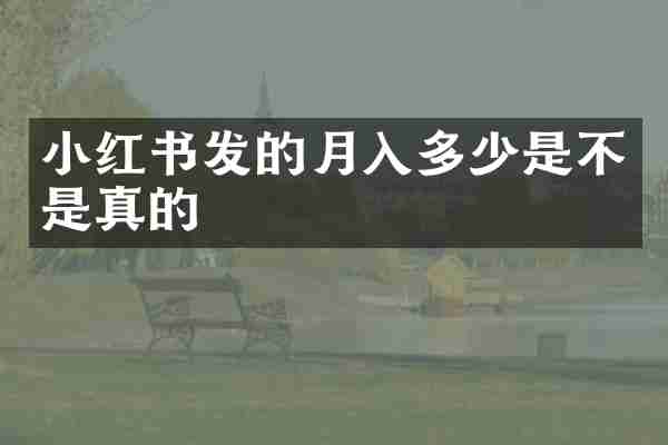 小红书发的月入多少是不是真的