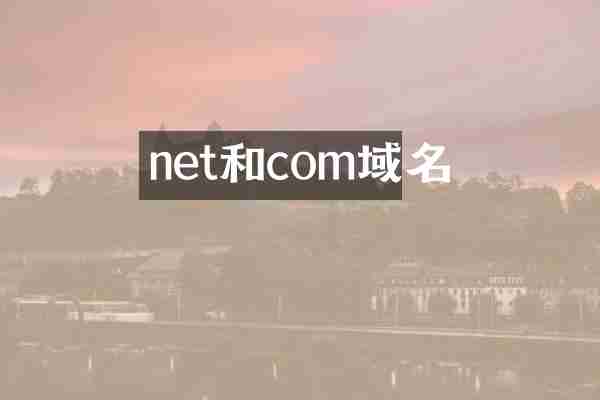 net和com域名