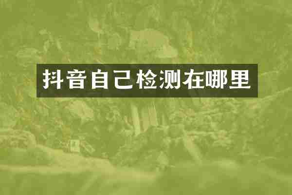 抖音自己检测在哪里