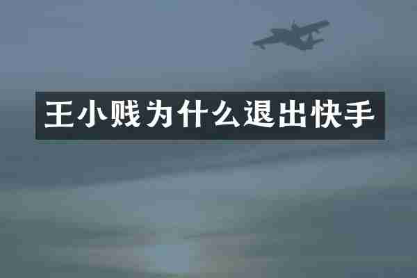 王小贱为什么退出快手
