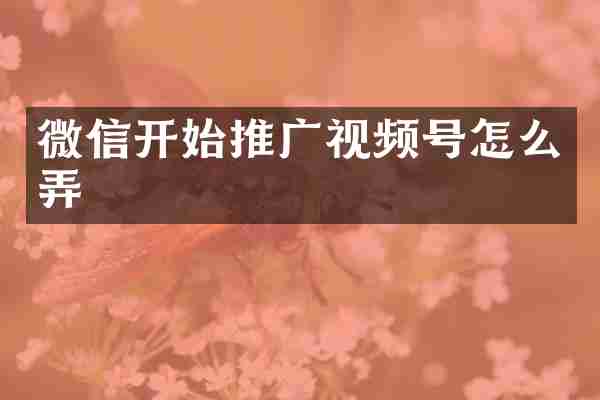 微信开始推广视频号怎么弄