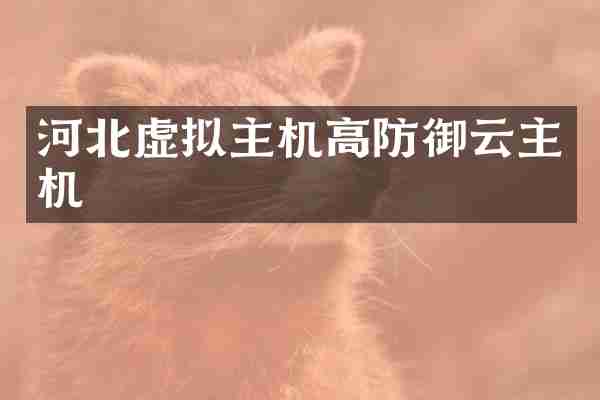 河北虚拟主机高防御云主机