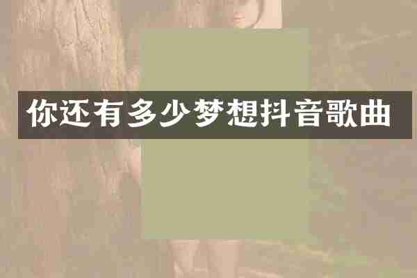 你还有多少梦想抖音歌曲
