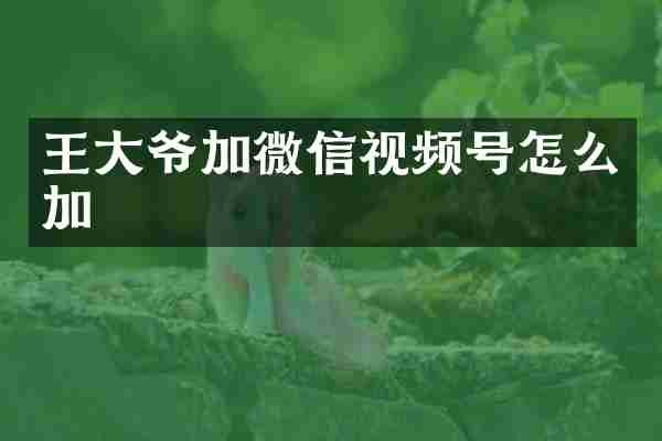 王大爷加微信视频号怎么加