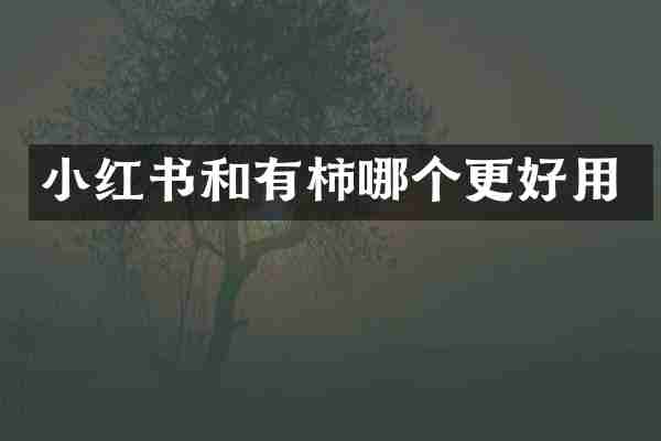 小红书和有柿哪个更好用