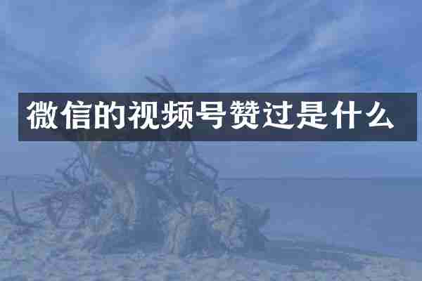 微信的视频号赞过是什么