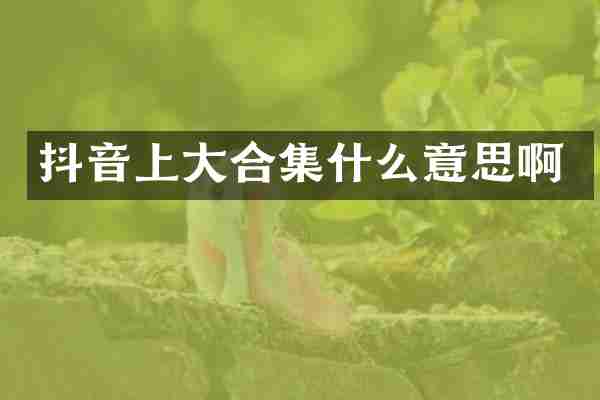 抖音上大合集什么意思啊