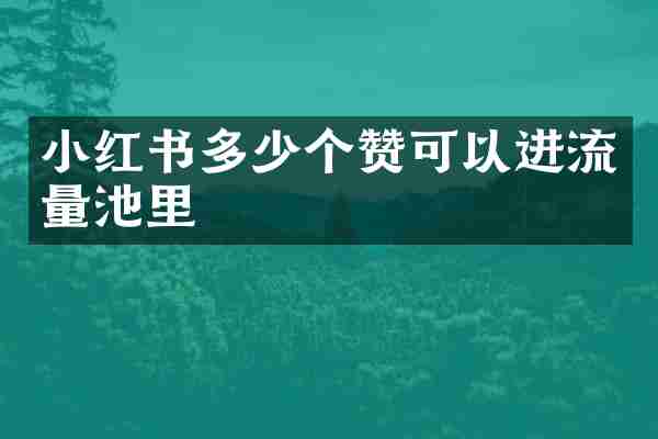 小红书多少个赞可以进流量池里