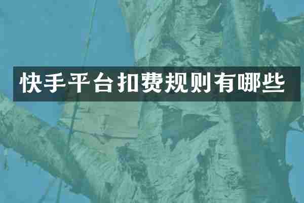 快手平台扣费规则有哪些