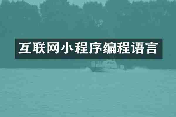 互联网小程序编程语言