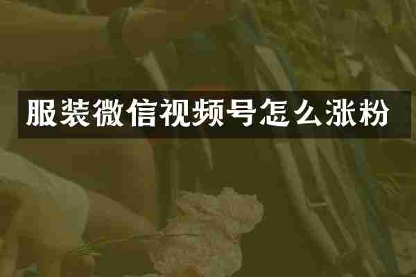 服装微信视频号怎么涨粉