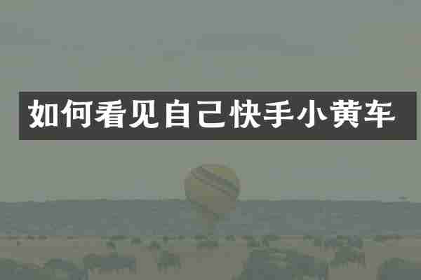 如何看见自己快手小黄车
