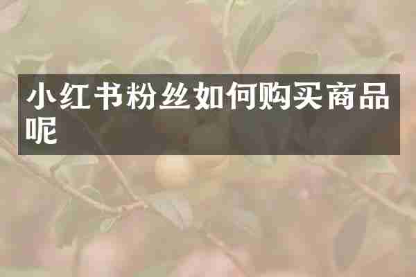 小红书粉丝如何购买商品呢