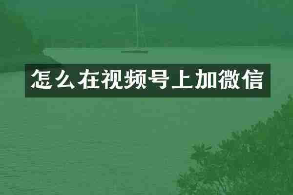 怎么在视频号上加微信