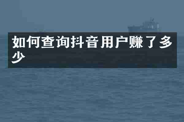 如何查询抖音用户赚了多少