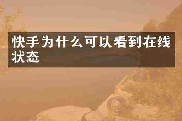 快手为什么可以看到在线状态