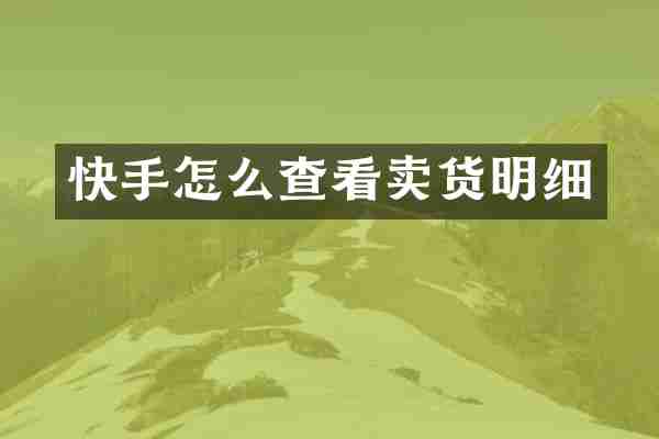 快手怎么查看卖货明细