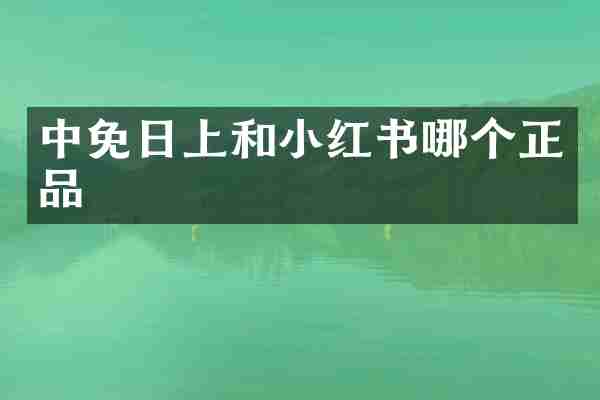 中免日上和小红书哪个正品
