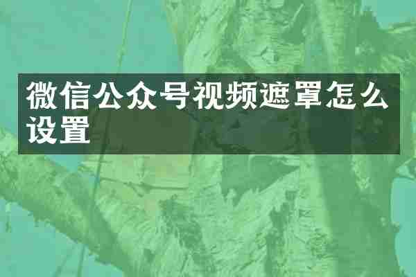 微信公众号视频遮罩怎么设置