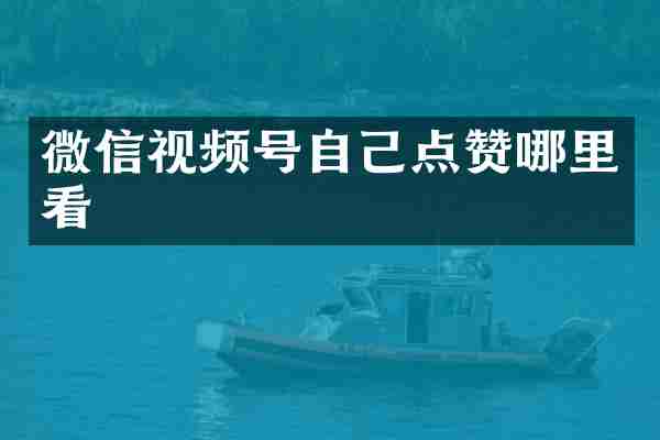 微信视频号自己点赞哪里看