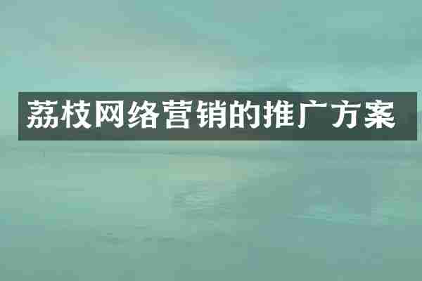 荔枝网络营销的推广方案