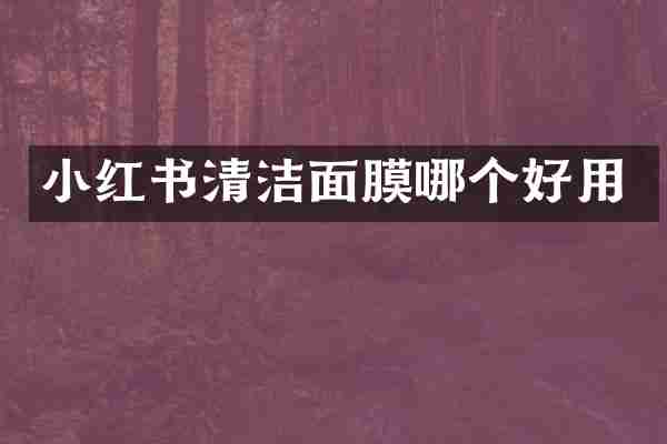 小红书清洁面膜哪个好用